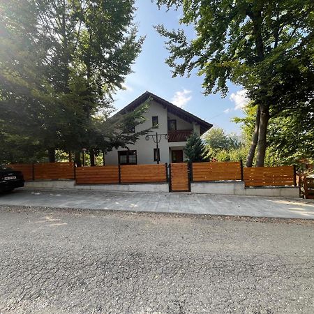 Casa De Vacanta Mogosa Felsőbánya Kültér fotó