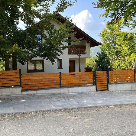Casa De Vacanta Mogosa Felsőbánya Kültér fotó