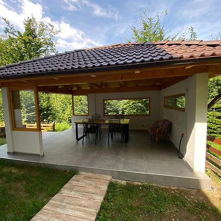 Casa De Vacanta Mogosa Felsőbánya Kültér fotó