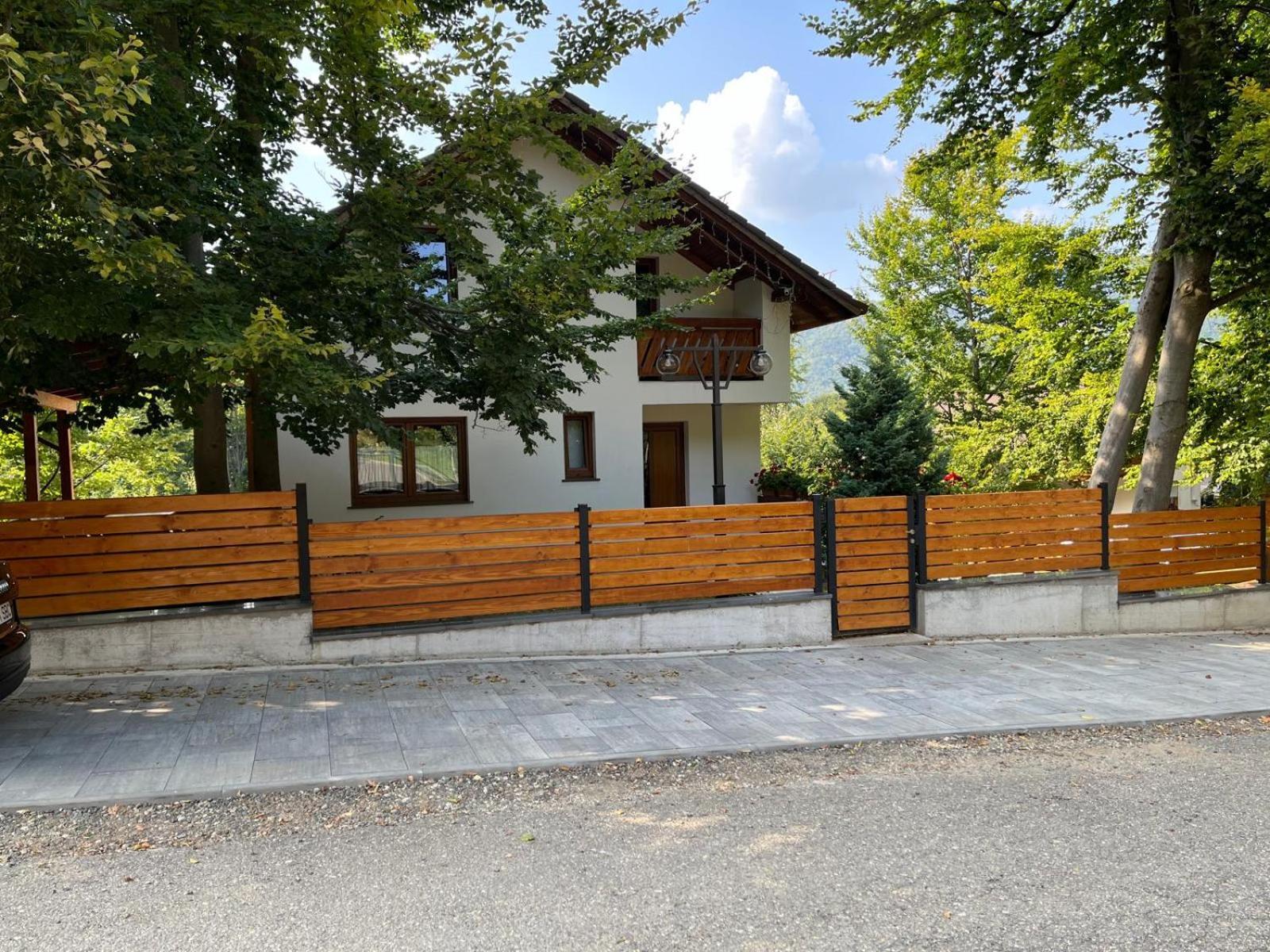 Casa De Vacanta Mogosa Felsőbánya Kültér fotó