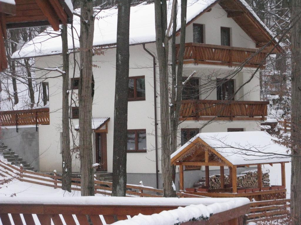 Casa De Vacanta Mogosa Felsőbánya Kültér fotó