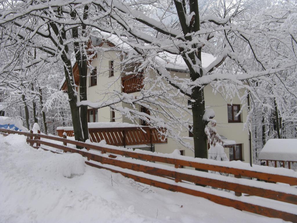 Casa De Vacanta Mogosa Felsőbánya Kültér fotó