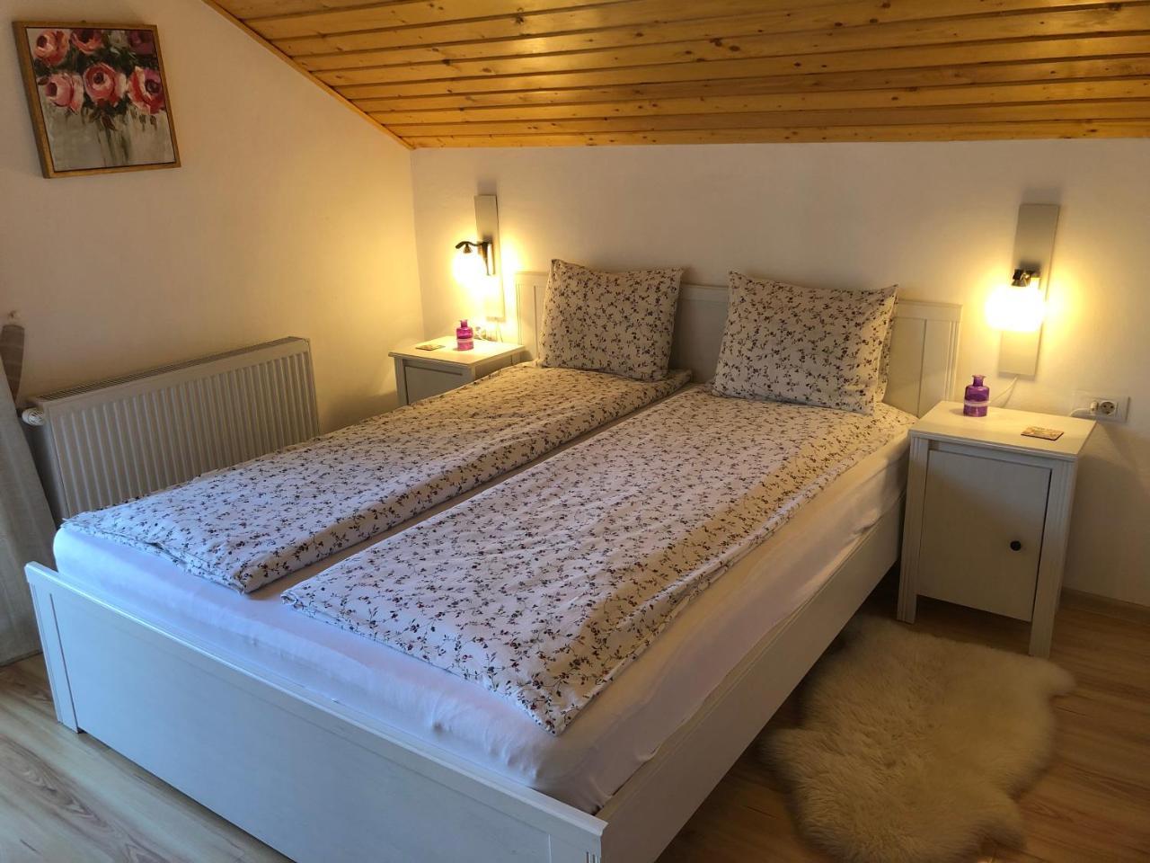 Casa De Vacanta Mogosa Felsőbánya Kültér fotó