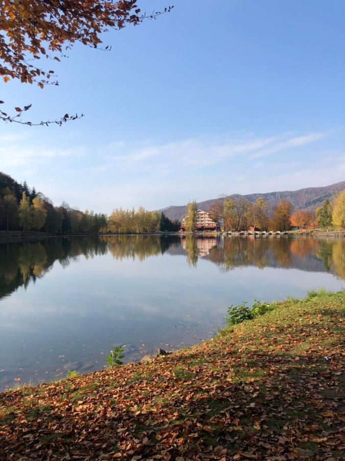 Casa De Vacanta Mogosa Felsőbánya Kültér fotó