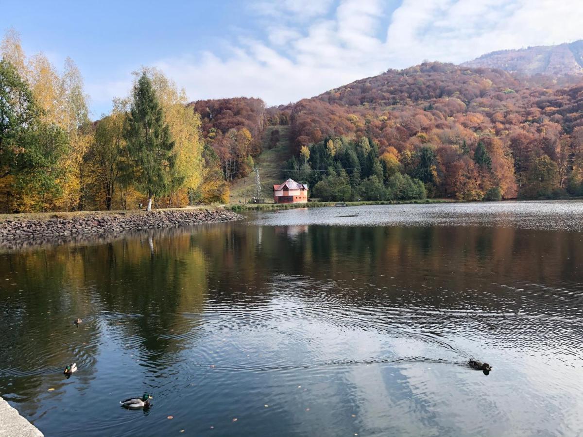 Casa De Vacanta Mogosa Felsőbánya Kültér fotó